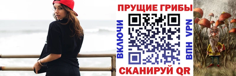хочу   omg как войти  Псилоцибиновые грибы Psilocybe  Обоянь 